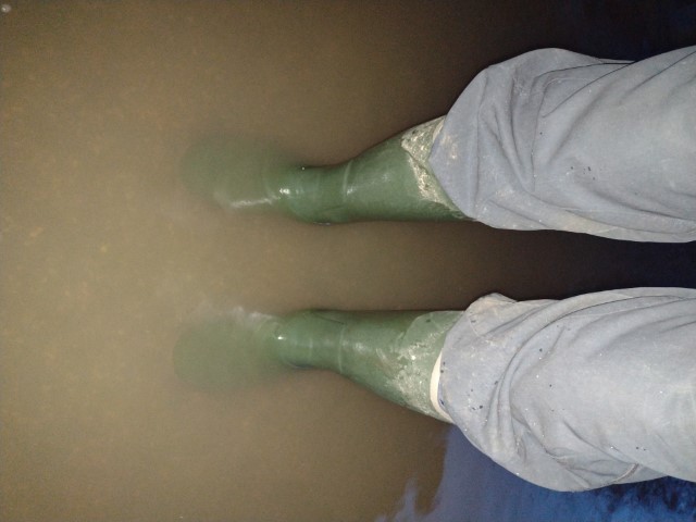 Under the Bader Way bridge the water is over its banks and over your feet (mine in wellies).